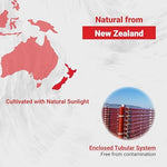 Naturalis antioxidant dietary supplement bottle highlighting gluten free and halal certifications
