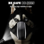 Mayerzon dog muzzle reflective feature in low light
