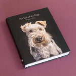 The Year of the Dogs - Image 4