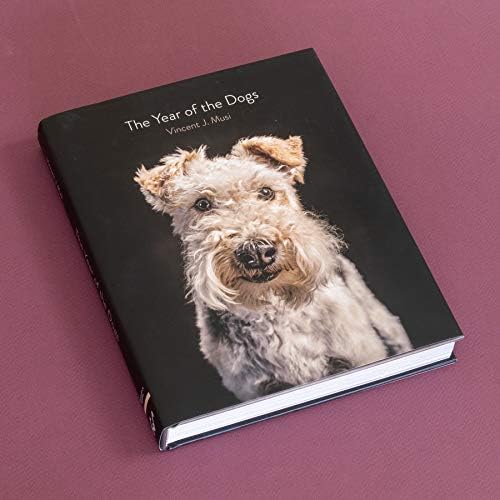 The Year of the Dogs - Image 4