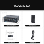 Black metal chassis two channel mini audio component amplifier on a shelf setup
