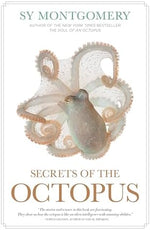 Secrets of the Octopus - Image 2