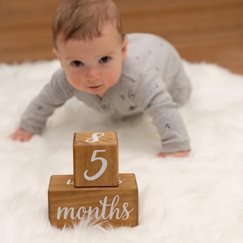 Close up of Pondering Pine number blocks for baby photography