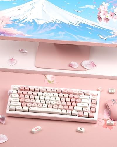 Premium mechanical keyboard keycap kit package with included key puller