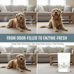 Natural pet odor eliminator powder for carpets and rugs