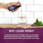 Close up of the ingredient facts label on WishGarden Herbs Deep Stress highlighting Holy Basil and Skullcap blend.