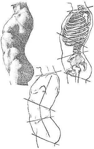 The Human Figure - Image 4