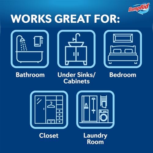 USA imported DampRid moisture absorber for preventing mold and musty odors in Indian homes.