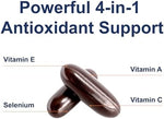 Close up of imported dietary supplement for premium immunity defense and cell repair.