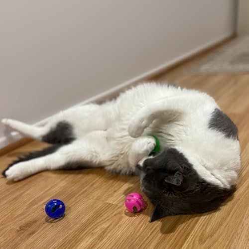 An adult cat swatting the authentic USA imported slotted plastic ball across a living room.