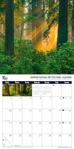 National Parks 2026 Wall Calendar â€“ â€œBest ofâ€ Edition (12â€x12â€) - Image 6