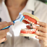 Angled bristle tuft of the denture cleaning toothbrush reaching into tight crevices.