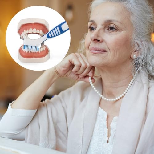 Haikole brand double ended dental hygiene brush showing premium soft bristles.