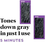 Back panel of Just For Men Touch of Gray showing ingredients and natural salt and pepper color shade guide.