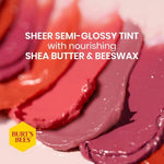 Authentic Burt's Bees beauty balm showing the protective cap and compact design for daily travel.
