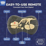 Fossil shaped remote control for Steam Life dinosaur