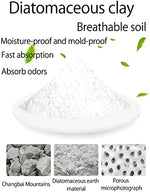 White Rouly drying rods placed inside a kitchen storage container for moisture control.