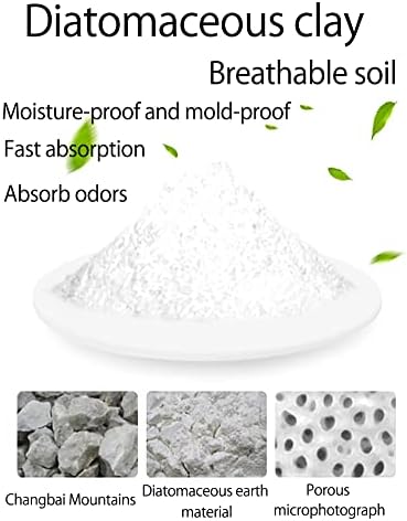 White Rouly drying rods placed inside a kitchen storage container for moisture control.