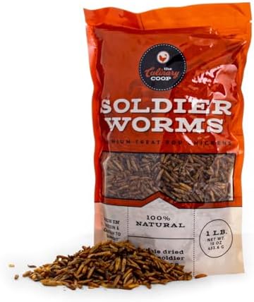 Nutritious dried soldier worms close up view showing organic texture