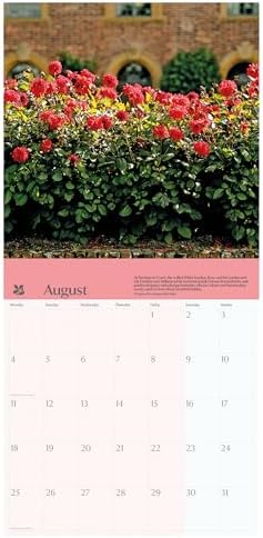 2025 Gardens, National Trust Wall calendar: Plastic Free Packaging - Image 4