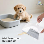 Handheld broom cleaning pet hair from sofa upholstery