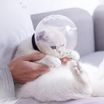 Full packaging contents of the authentic imported Augegel pet restraint system for cats and puppies