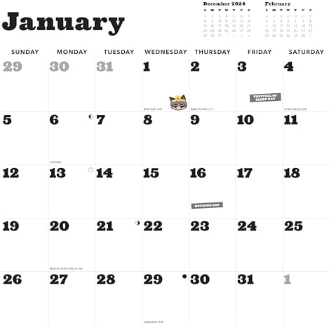 Grumpy Cat 2025 Wall Calendar - Image 6