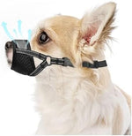 Evollax small dog muzzle showing adjustable mesh strap