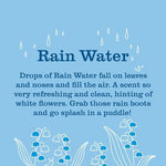 Back label of Mrs. Meyer's Rain Water scent booster showing ingredients