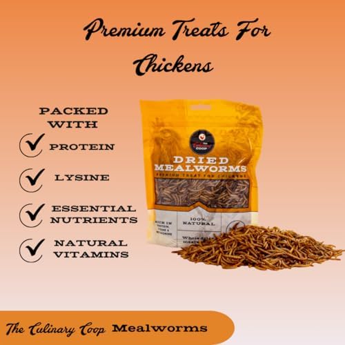 High protein mealworm supplement for reptiles and water turtles packaging details.