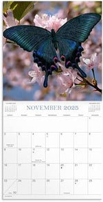 Butterflies 2025 Wall Calendar - Image 5