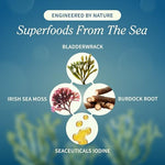 Snap Supplements Irish Sea Moss vegan capsule close up