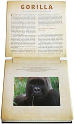 Safari: A Photicular Book - Image 5