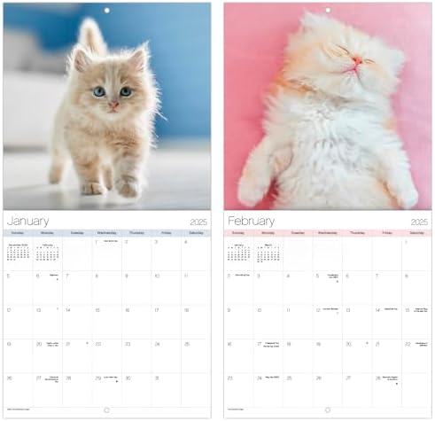 2025 Cuddly Kittens Mini Wall Calendar - Image 7