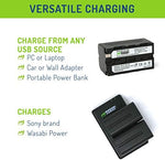 Wasabi Power dual slot USB charger showcasing compact travel-friendly design and input port.