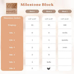 Gender neutral wooden milestone blocks for baby nursery decor