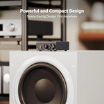 Fosi Audio M04 Class D mono amplifier rear panel displaying RCA inputs and speaker terminals.