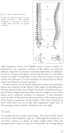 Anatomy and Perspective: The Fundamentals of Figure Drawing - Image 6