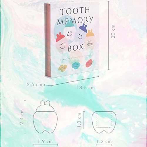 Detailed view of Oncebaby tooth box molar holes and storage slots