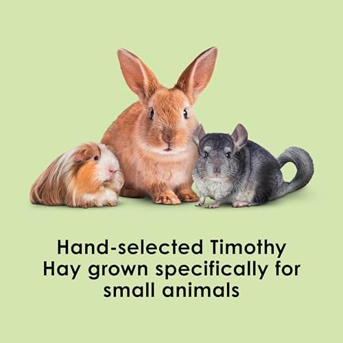 Pesticide free small pet food bale for rabbits and guinea pigs side angle