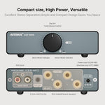 AIYIMA A07 MAX desktop stereo amplifier rear panel connection terminals.