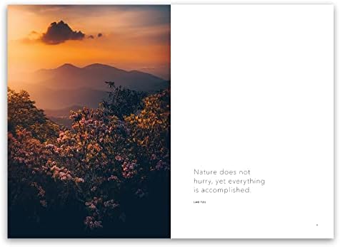 Blue Ridge Dreaming - Image 7