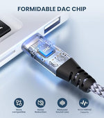 Diagram showing USB C to dual 6.35mm mono connection