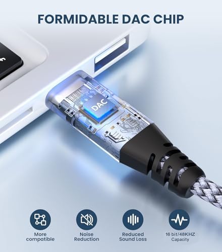 Diagram showing USB C to dual 6.35mm mono connection