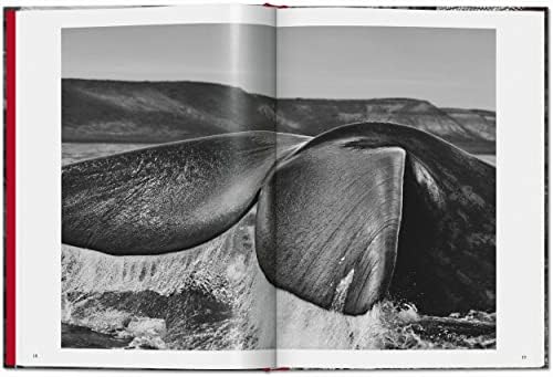 SebastiÃ£o Salgado. Genesis - Image 4