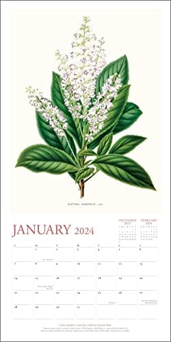 New York Botanical Garden 2024 Wall Calendar - Image 4