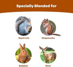 Kaytee squirrel and chipmunk food cake ingredients layout
