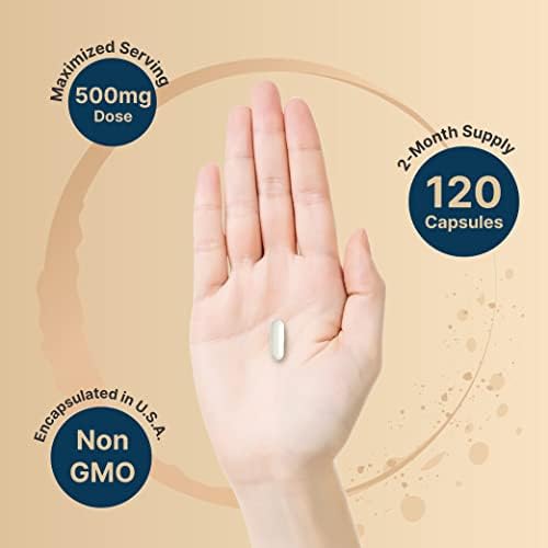 NatureBell Citicoline bottle back label ingredients list