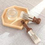 Delphinus leather and wood care cleaning brush set packaged and ready for use