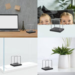 Educational physics demonstration toy for students and professionals